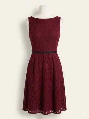 Loft Fully Lined Lace Dress Size 10P Wine Color EUC